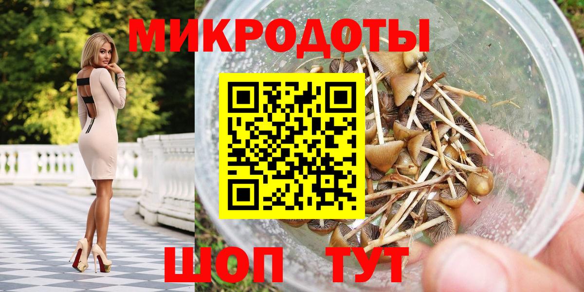 Псилоцибиновые грибы MAGIC MUSHROOMS  Галлюциногенные грибы GOLDEN TEACHER  Чистополь  где продают наркотики  Вход с VPN 