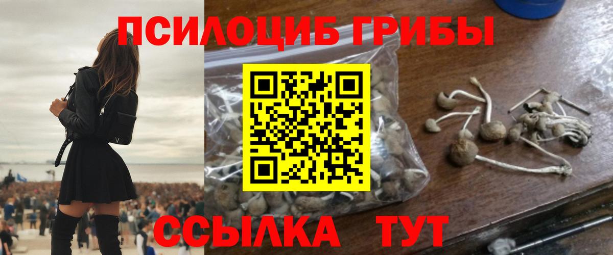 Галлюциногенные грибы мицелий Чистополь