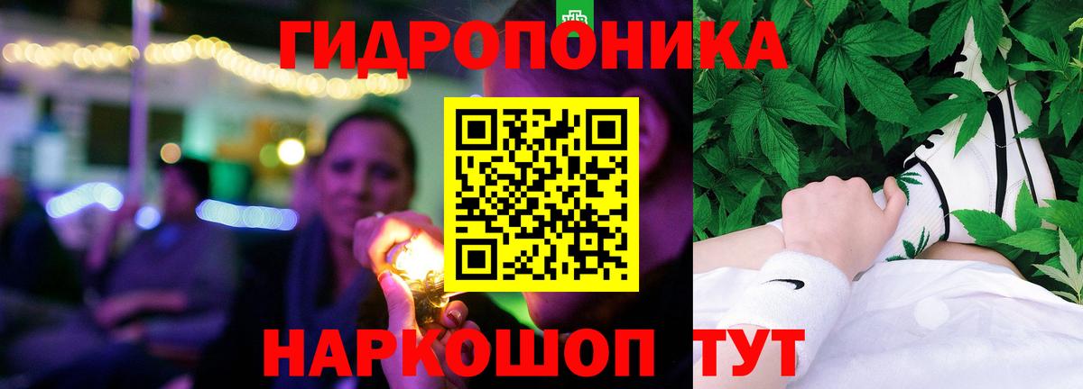 Каннабис сатива  Конопля OG Kush  Бошки Шишки планчик  Чистополь  Вход с VPN 